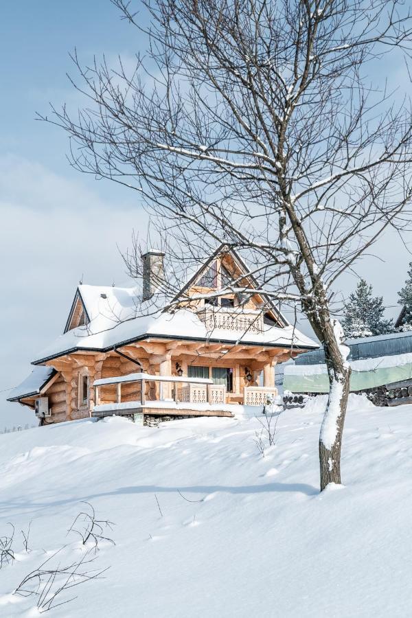 Domek Goralski Niedzwiedzia Gawra By Rentilopl Poronin Exteriör bild
